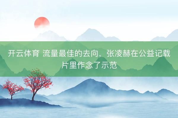 开云体育 流量最佳的去向,张凌赫在公益记载片里作念了示范