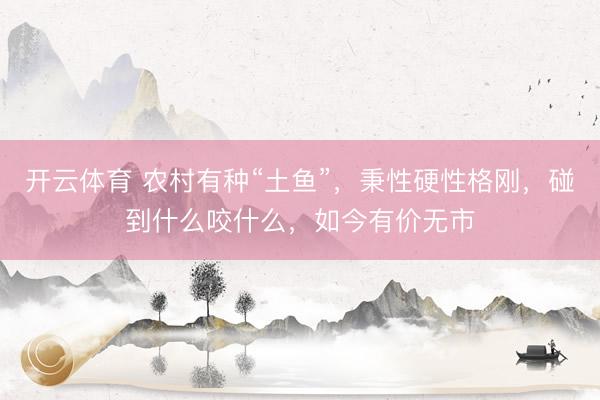 开云体育 农村有种“土鱼”，秉性硬性格刚，碰到什么咬什么，如今有价无市