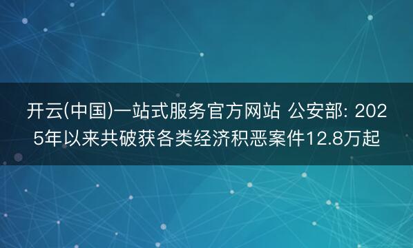 开云(中国)一站式服务官方网站 公安部: 2025年以来共破获各类经济积恶案件12.8万起
