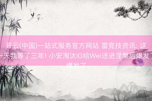 开云(中国)一站式服务官方网站 雷竞技资讯: 这一天我等了三年! 小安淘汰IG给Wei送进涅槃后爆发了