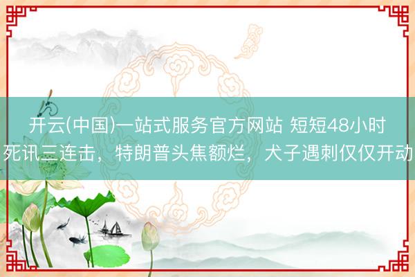 开云(中国)一站式服务官方网站 短短48小时死讯三连击，特朗普头焦额烂，犬子遇刺仅仅开动